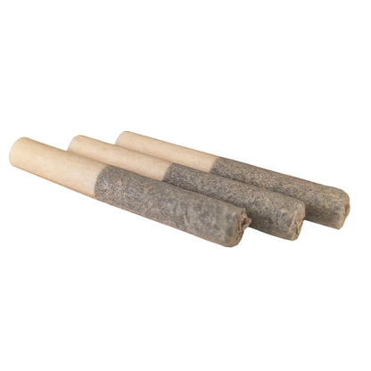 Elevate™ - CBD 240 Infused Pre-Roll Wild Blueberry Terpene 3 pack (1.5g) (80mg CBD/each)